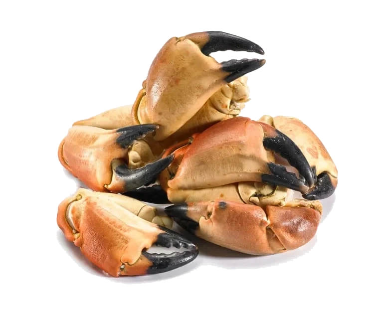 Krabbeklør bestilles pr stykk á ca.100g