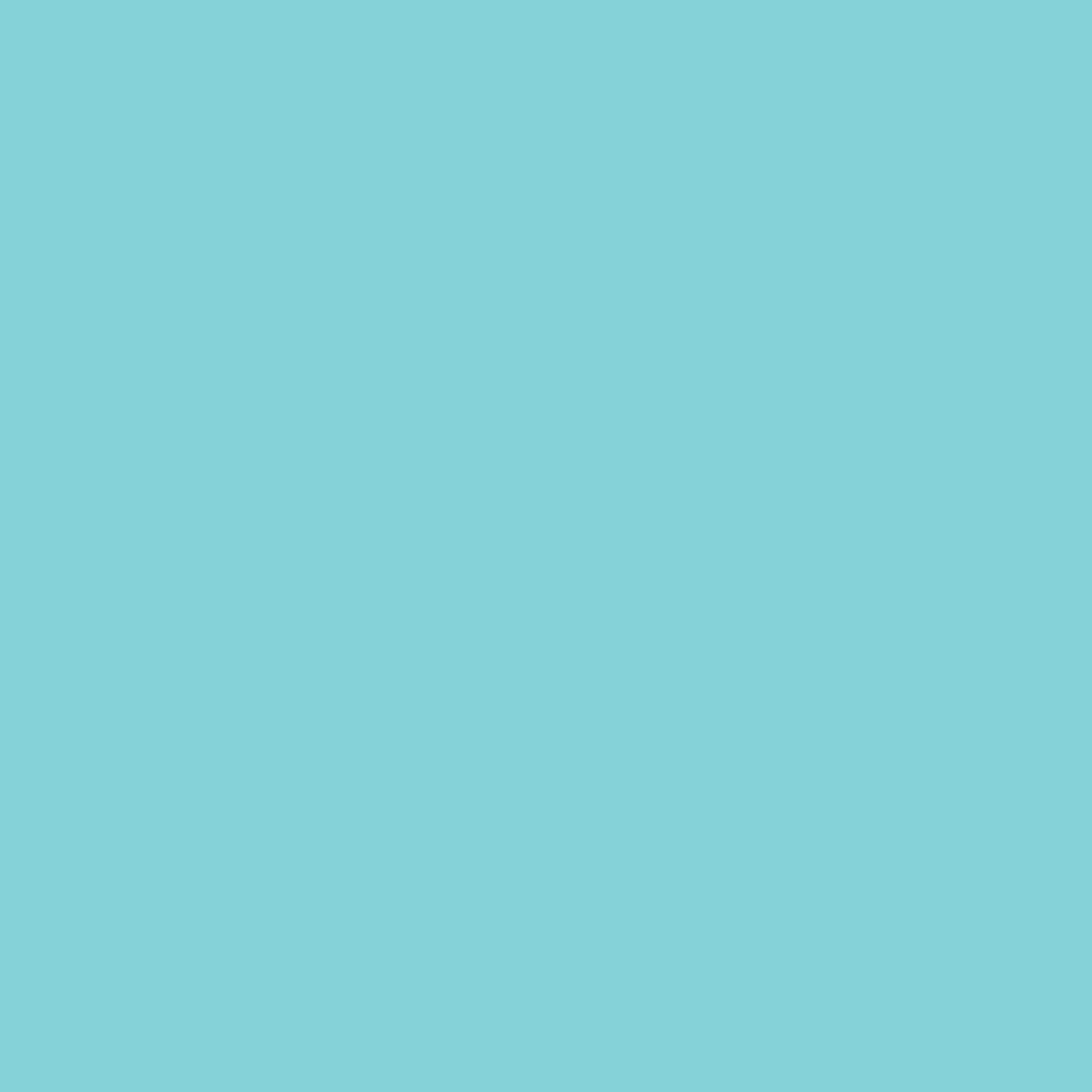 Tissueservett Mint