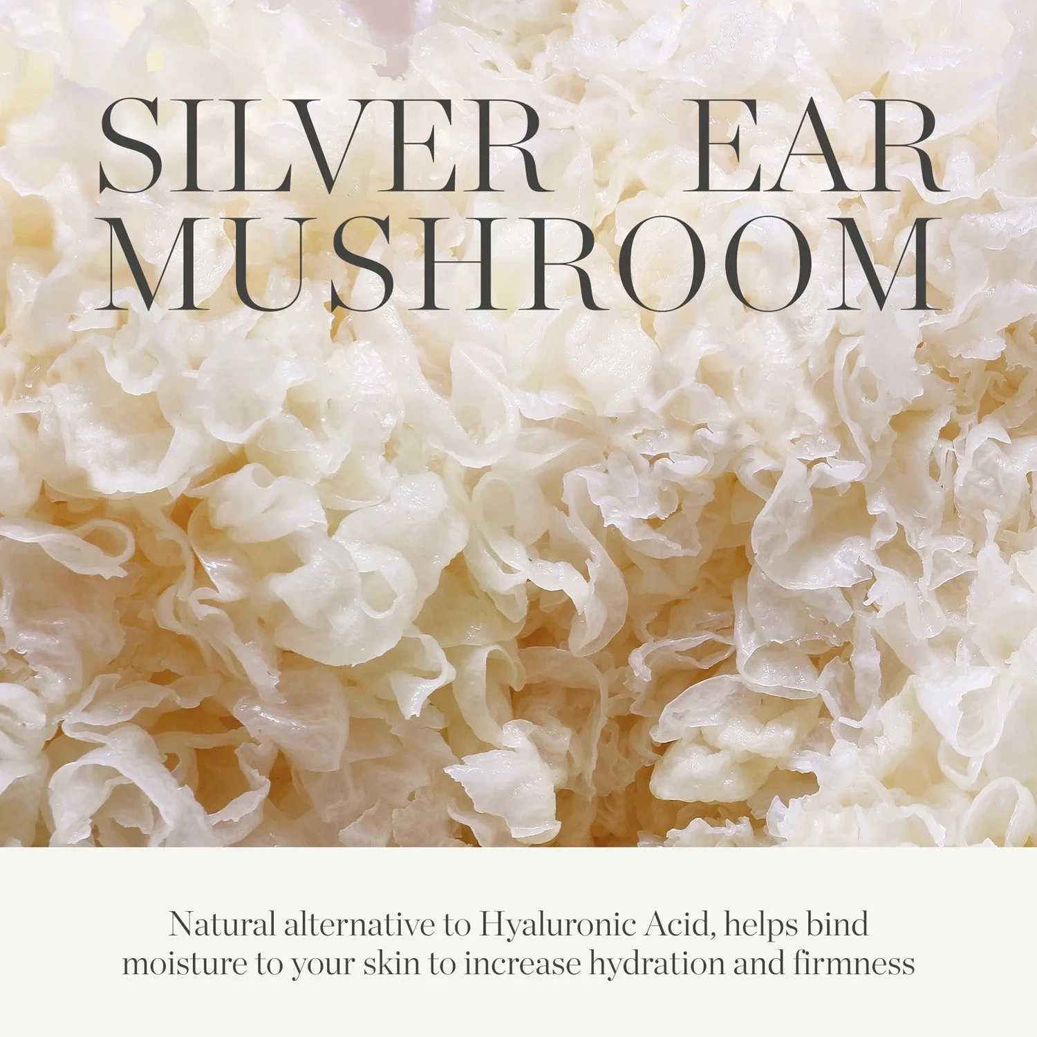Kora Organics Milky Mushroom Ultra Hydrating Facial masks 100 ml
