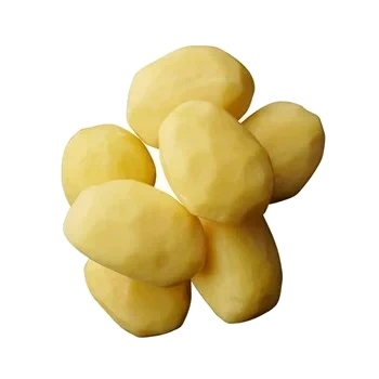 Potatis fast 39-54 svensk