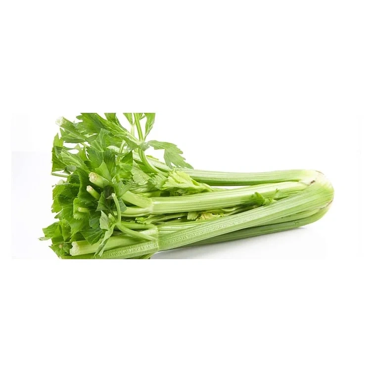 Stangselleri økol.      400g