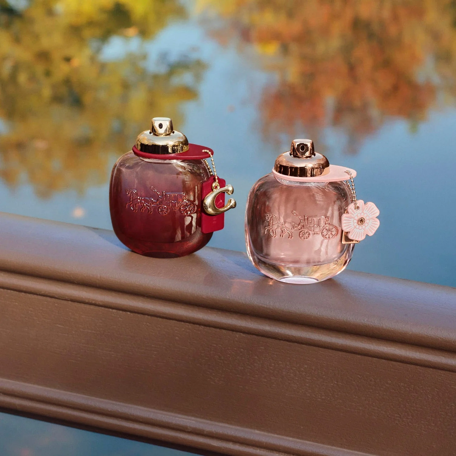 Coach Wild Rose Eau de Parfum 30 ml