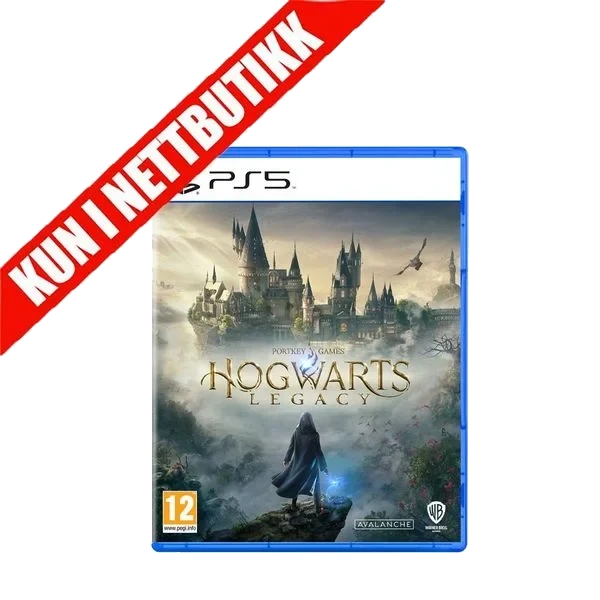 Hogwarts Legacy (PS5)