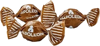 Kanon Saltlakrits