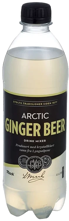 Mack arctic ginger fl   24x0,5l
