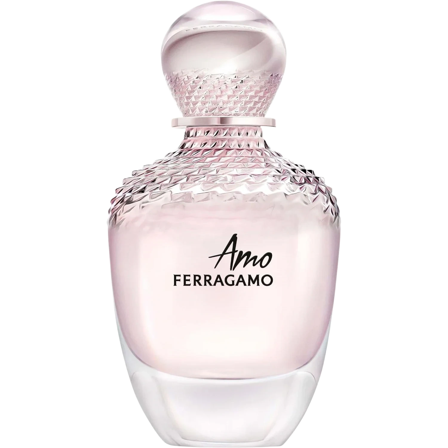 Ferragamo Amo