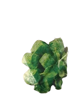 Spenat blad (port)