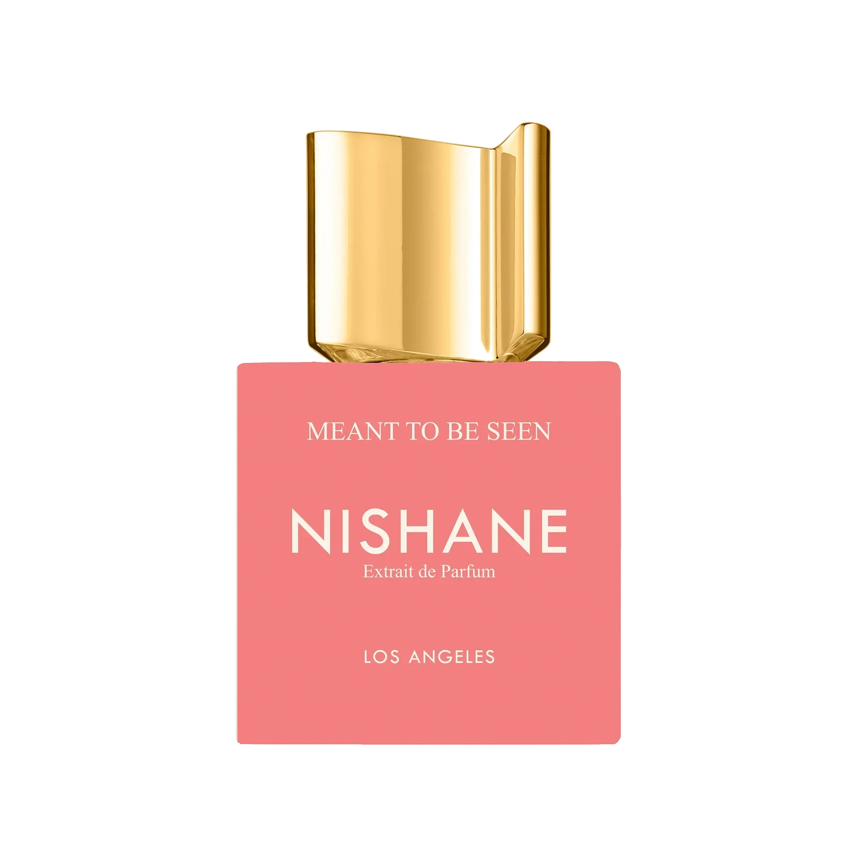 NISHANE Meant To Be Seen 100 ml