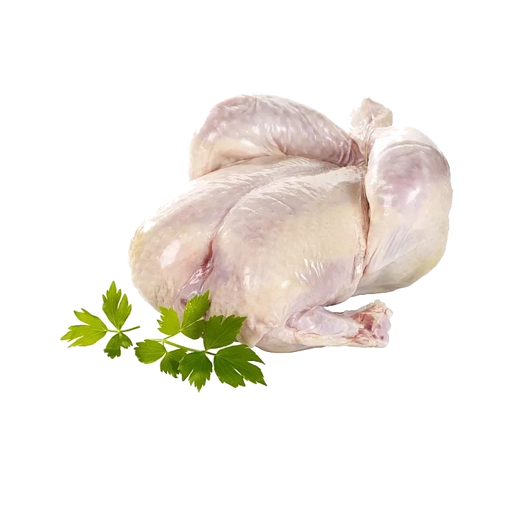 Smaalenene gårdskylling 2-3kg   kg