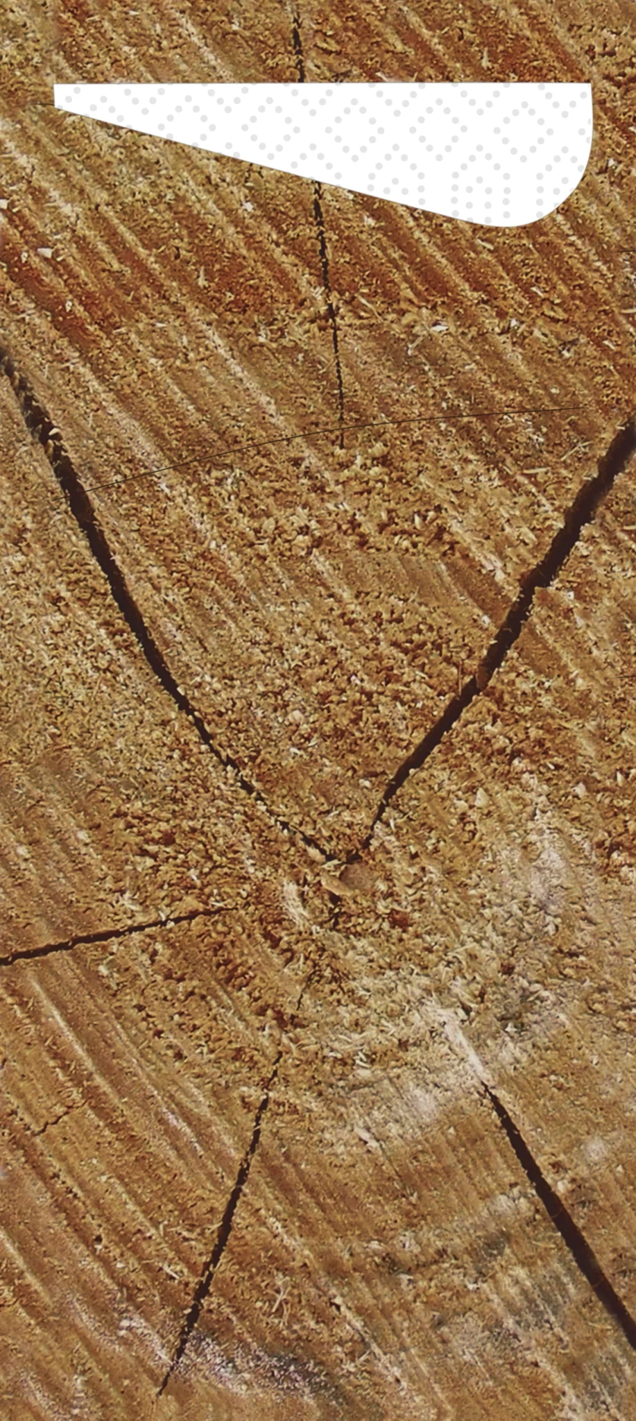Sacchetto Wood M/serv.2l33cm Hvit