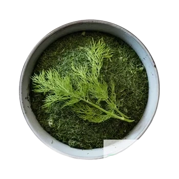 Dill