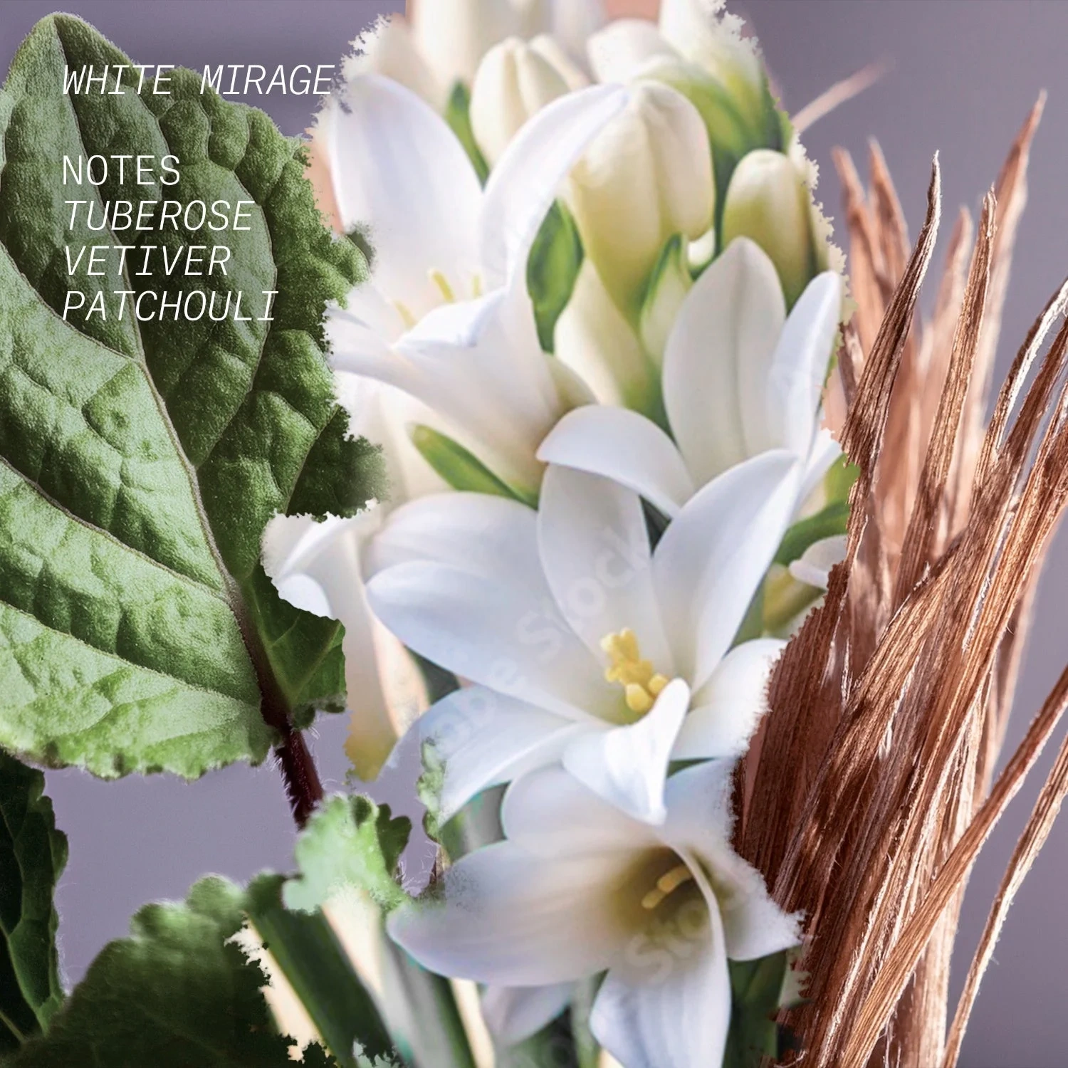 Látelier Parfum WHITE MIRAGE