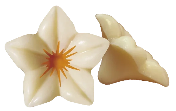 Vit Chokladblomma