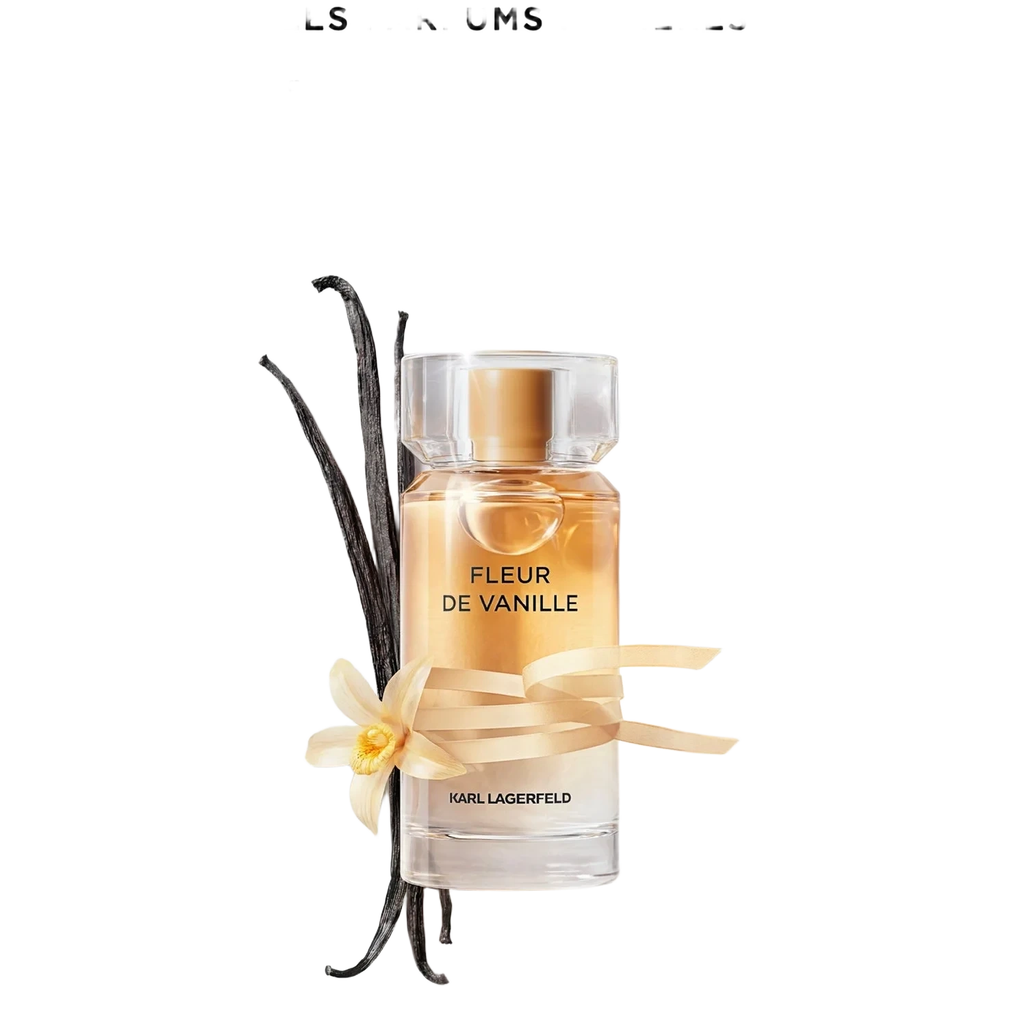 Karl Lagerfeld Les Parfums Matières Fleur de Vanille Eau de Parfum 50 ml