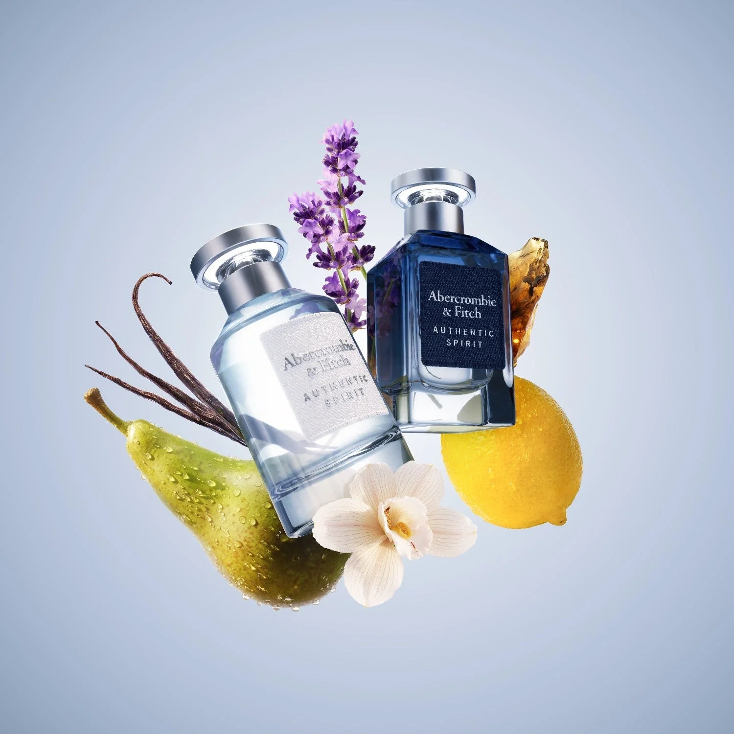 Abercrombie & Fitch Authentic Spirit Woman