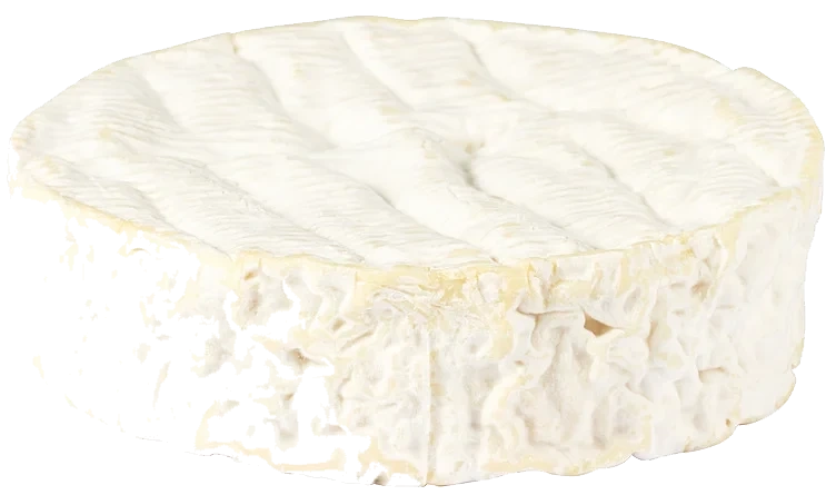 Coulommiers 350g Le Rustique