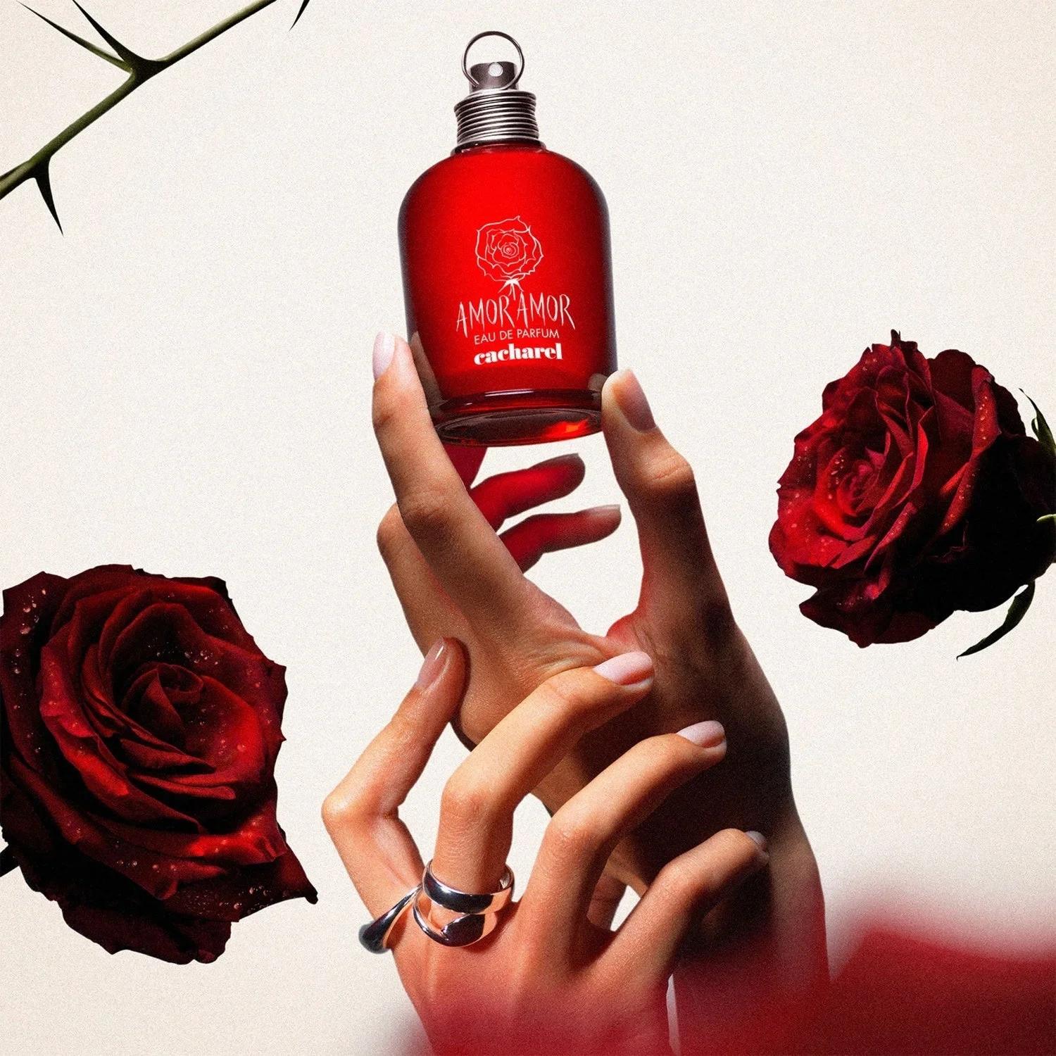 Cacharel Amor Amor Eau de Parfum 100 ml