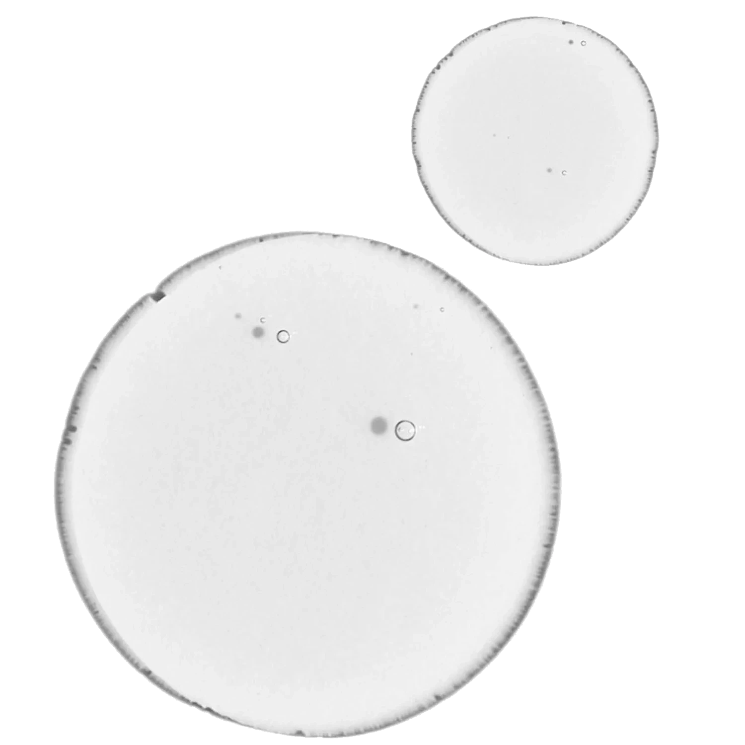The Ordinary Balancing & Clarifying Serum