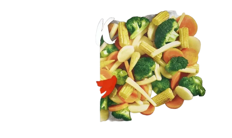 Wok Classic 10x480g