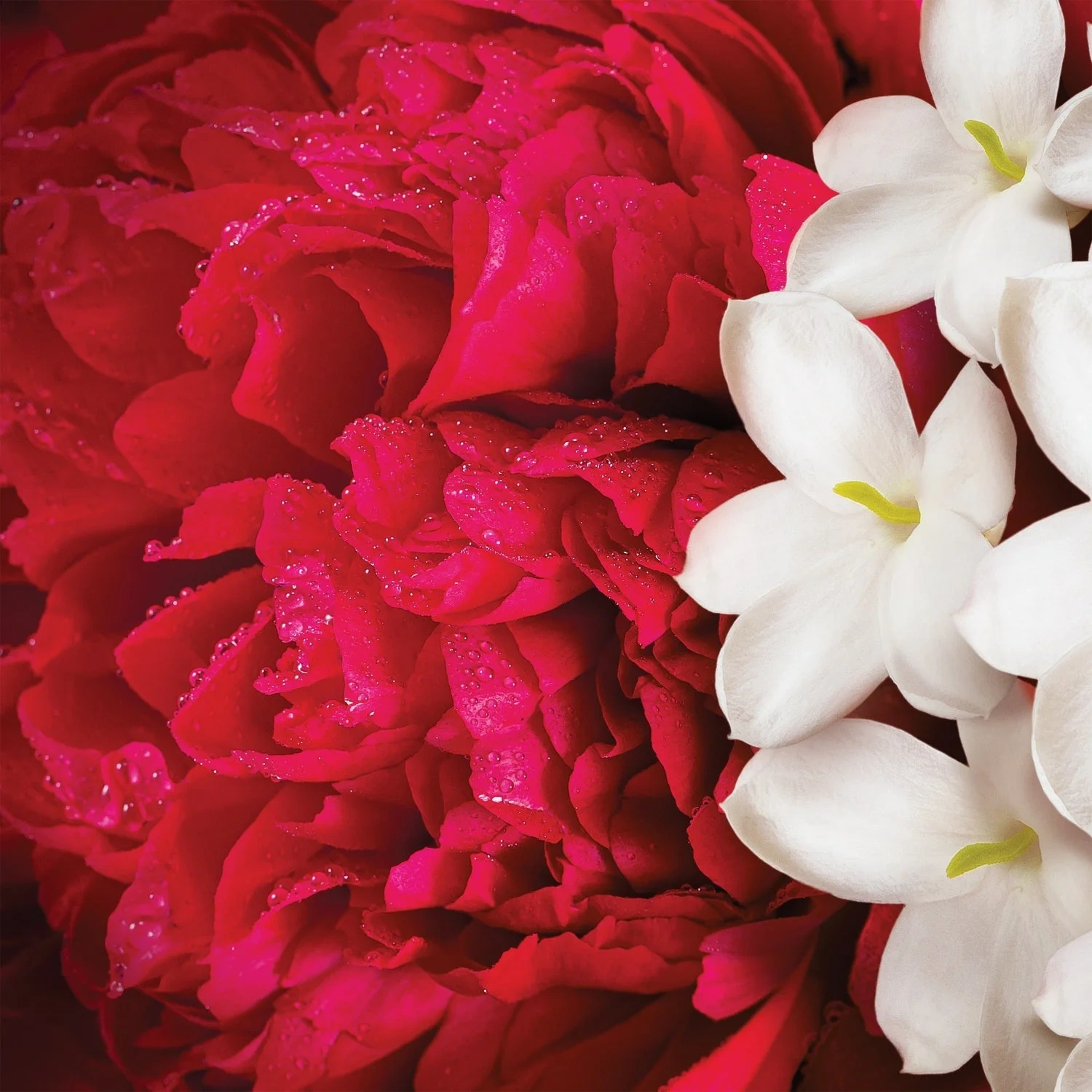 Escada Yum me, Blossom!