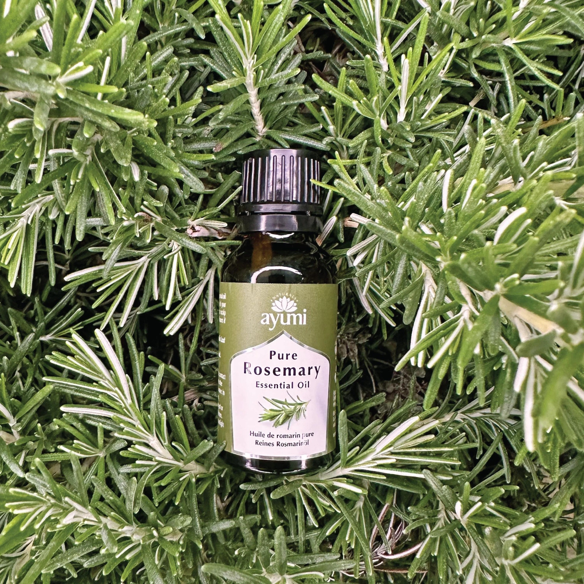 Ayumi Rosemary Essential Oil, 15 ml