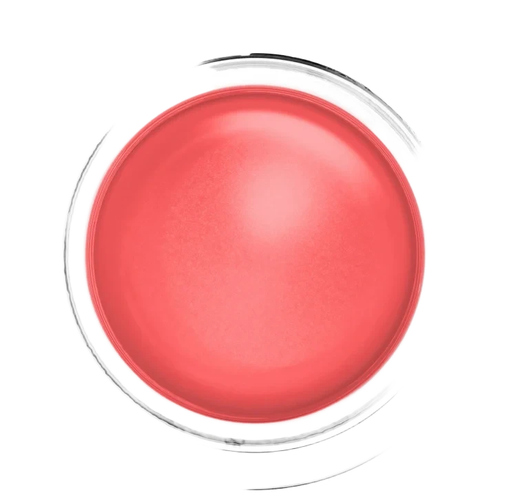 Cloudtopia Coral Illusion Mousse 5