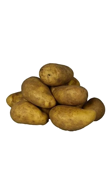 Mjölig lösvikt