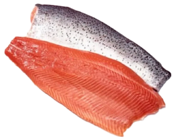 Laks Filet Landbasert Oppdrett pr Kg