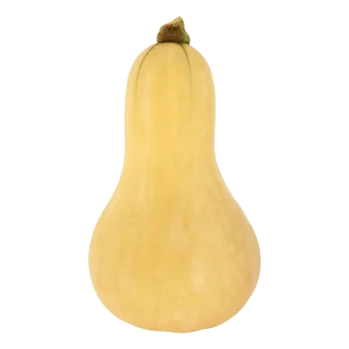 Pumpa Butternut