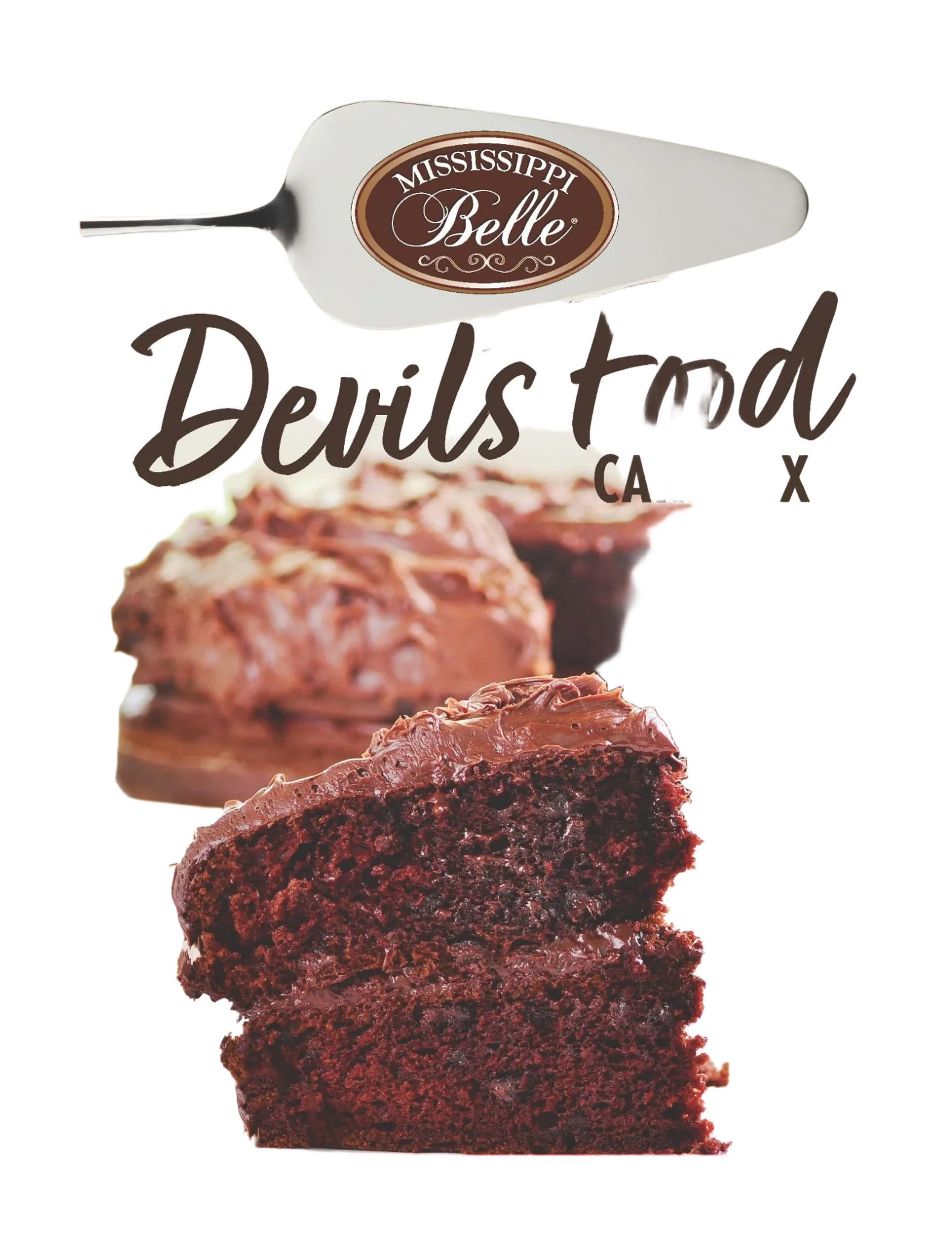 Mississippi Belle  Devils Food Cake
