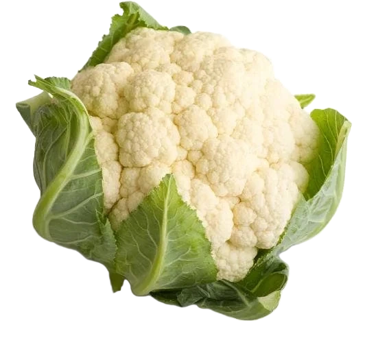 Økologisk Blomkål