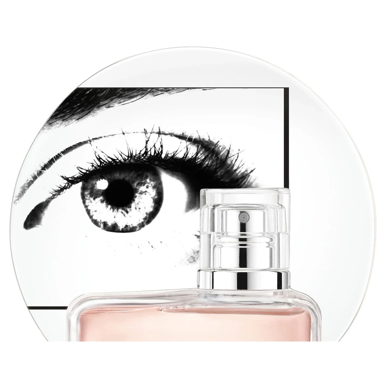 Calvin Klein Ck Women