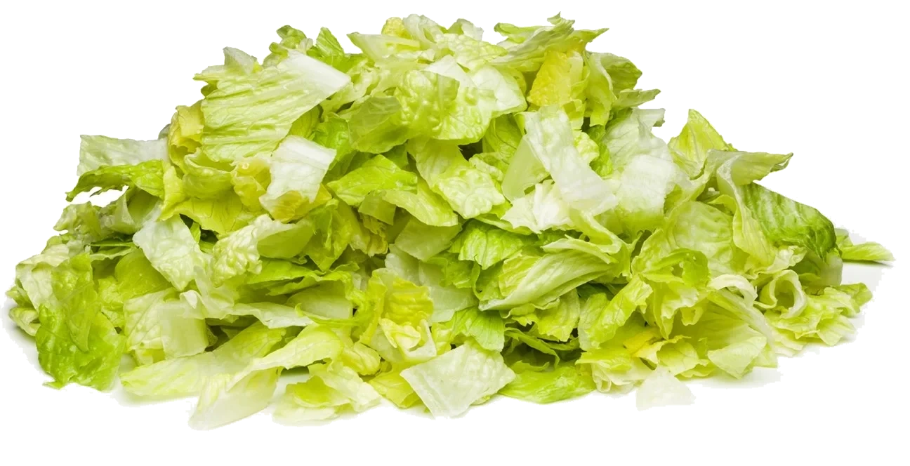 FS Isbergsallad skuren