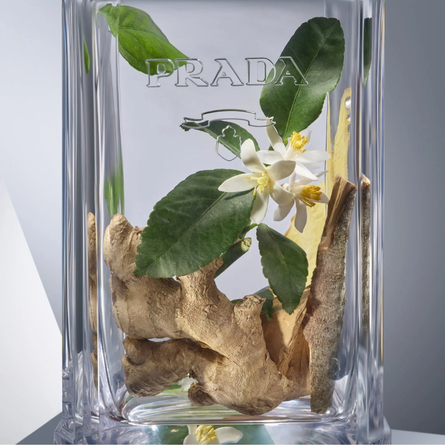Prada L'Homme L'Eau