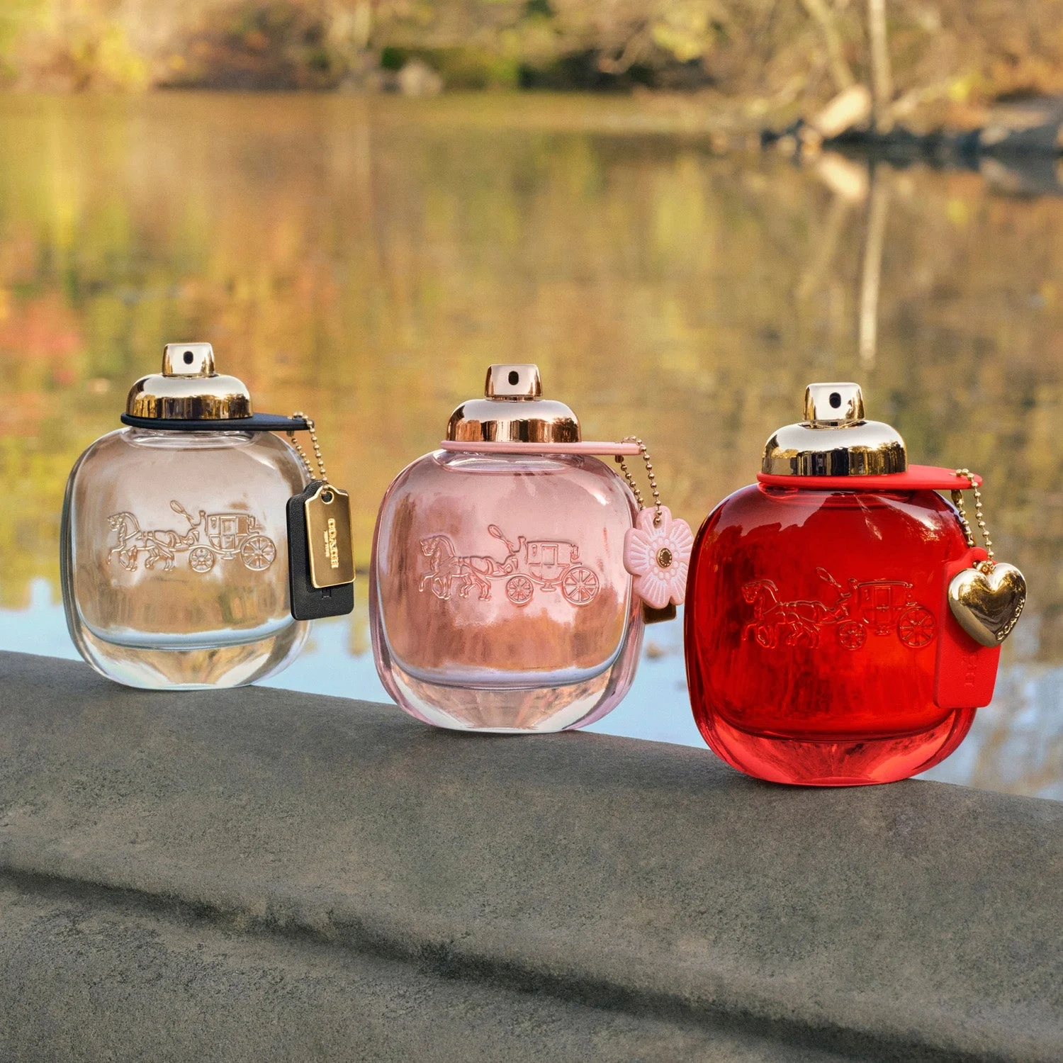 Coach Eau De Parfum 30 ml