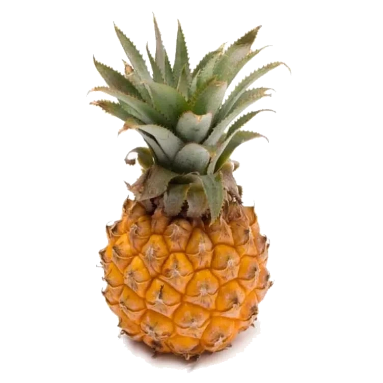 Ananas Baby
