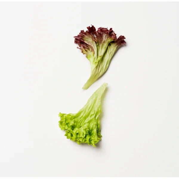 Rød Lollo Salat Flowpack