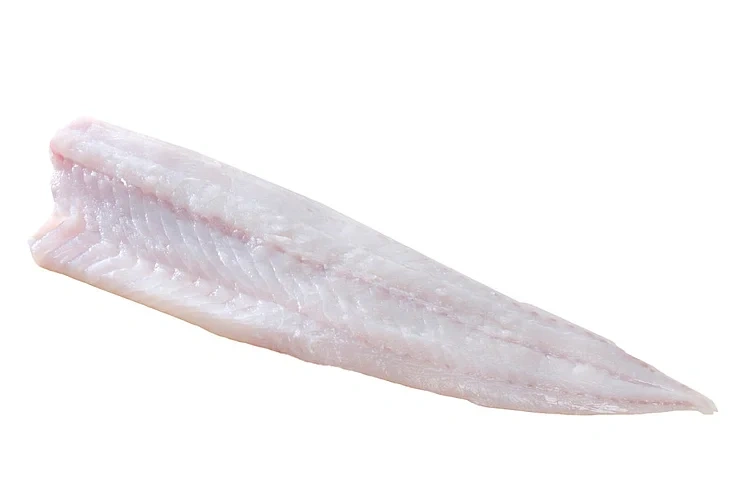 Seifilet fersk u/skinn    kg