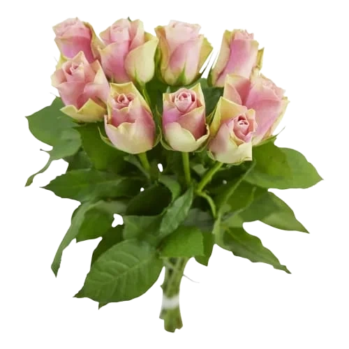 Rosor 9-pack 40cm