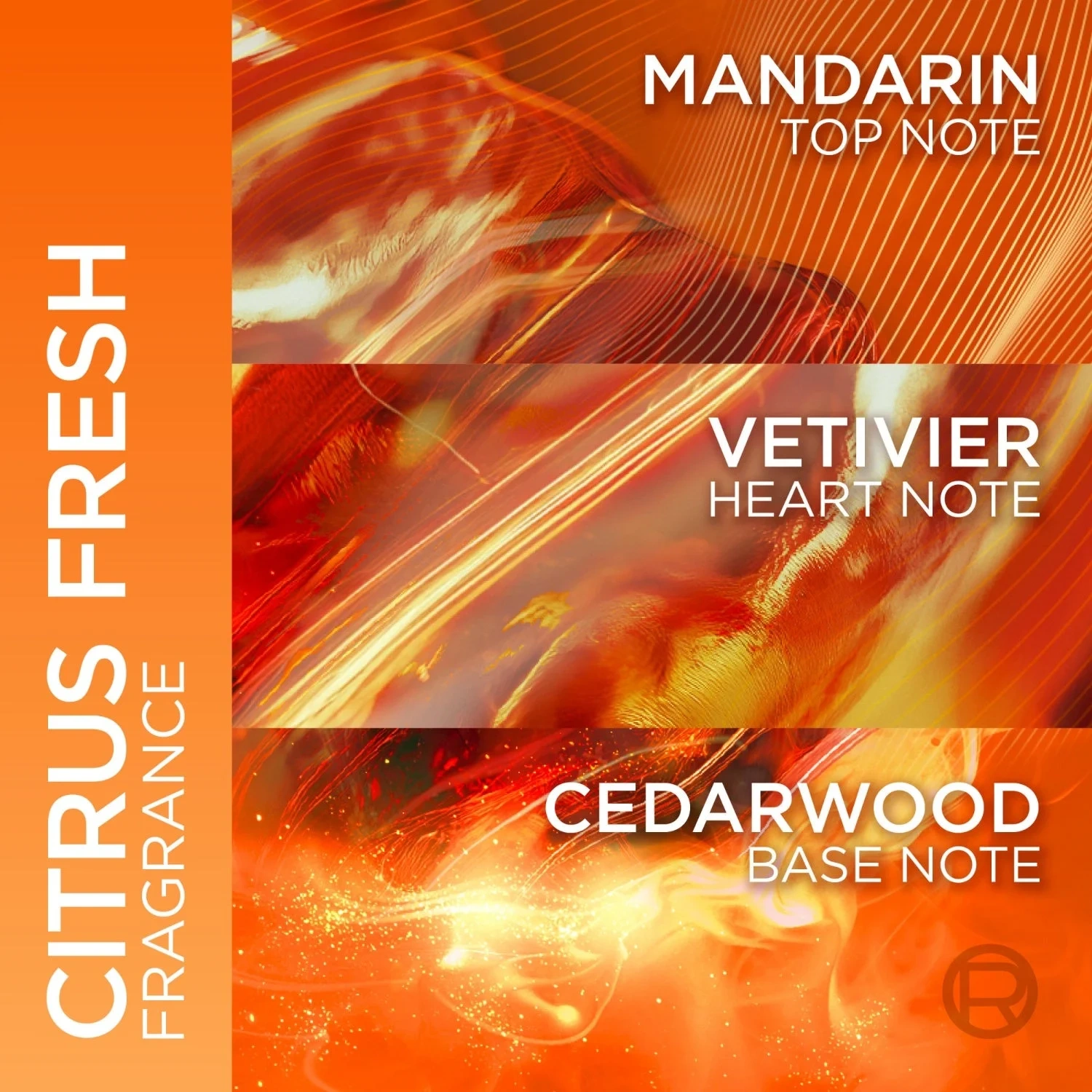 Men Expert Roll-On Ceramic 50ml