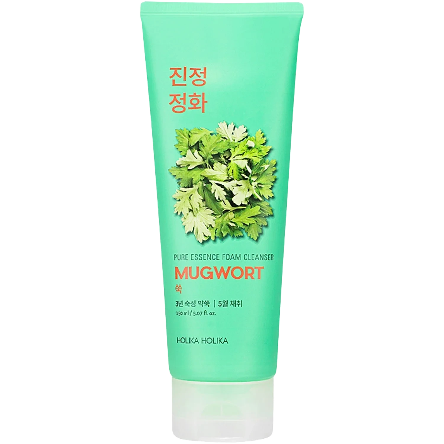 Holika Holika Pure Essence Mugwort Foam Cleanser