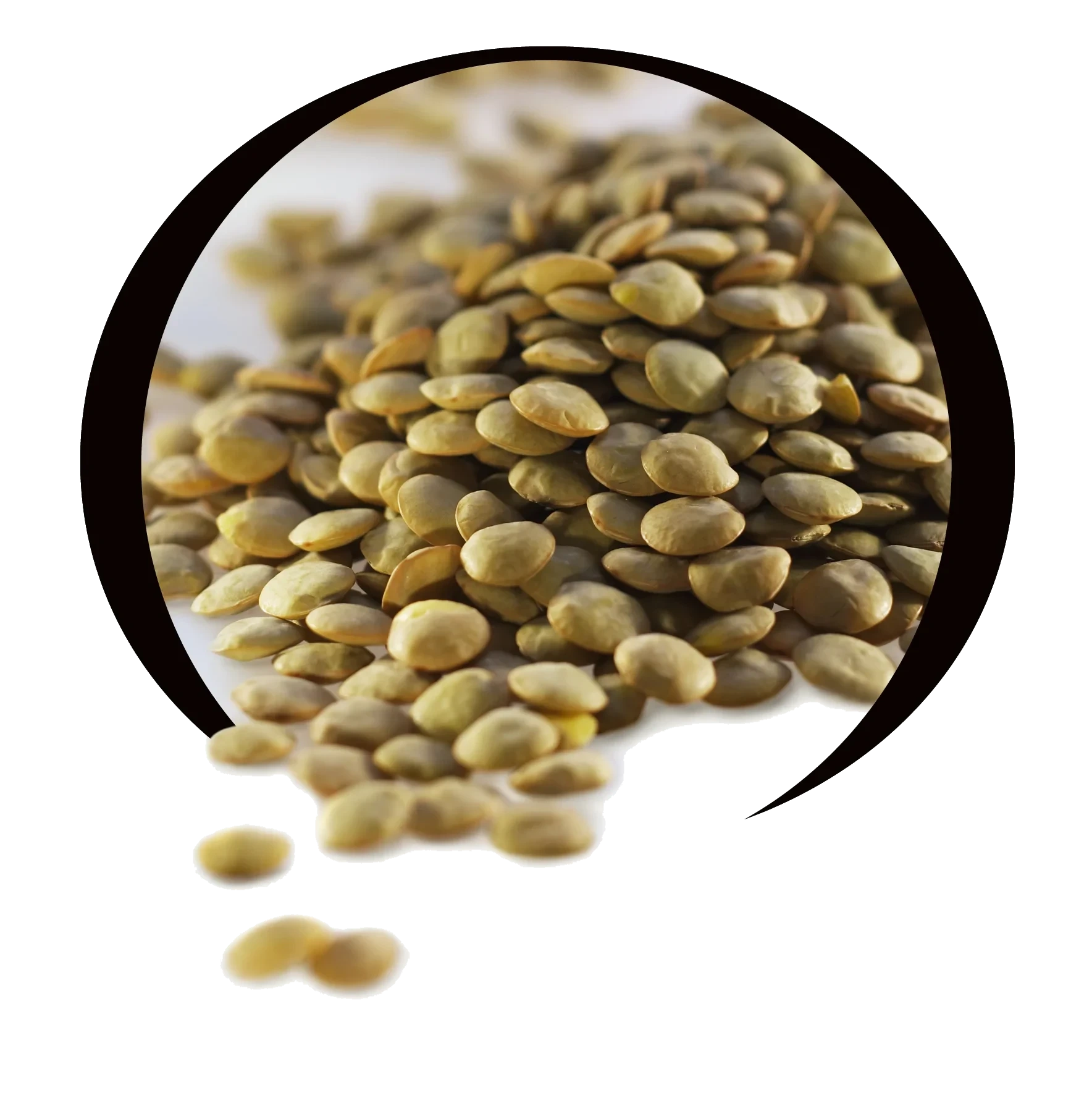 Grønne linser 400g