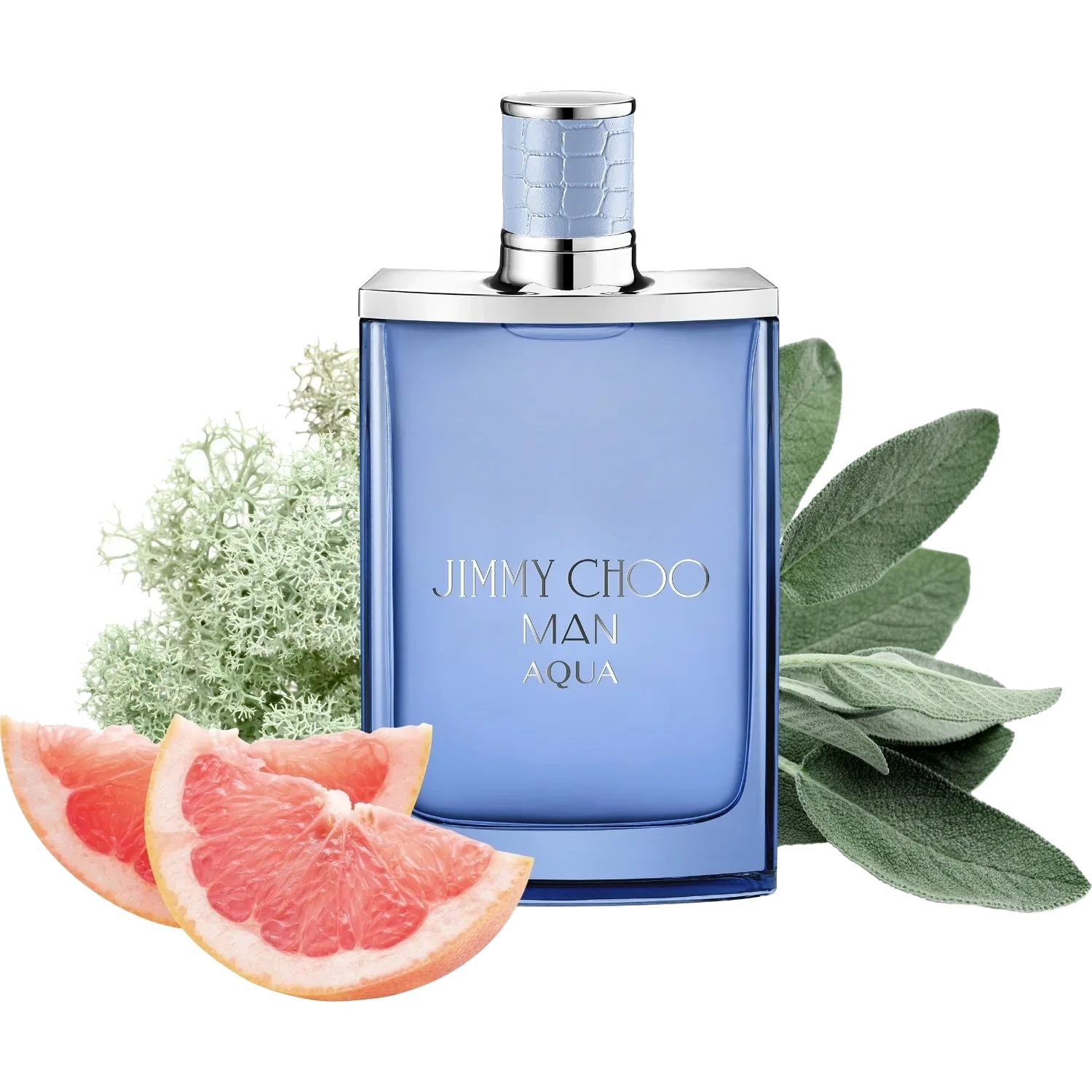 Jimmy Choo Man Aqua Eau de Toilette 30 ml
