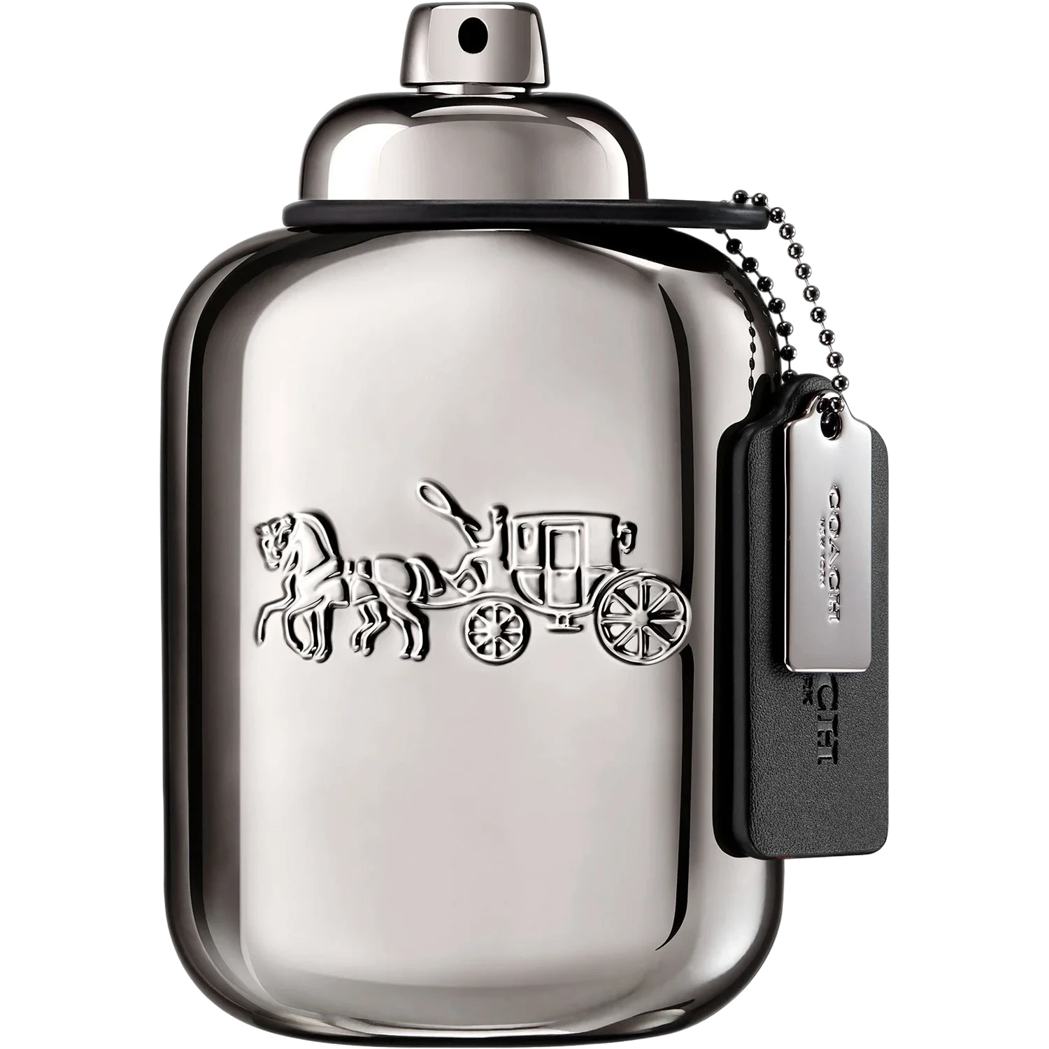 COACH Pure Platinum