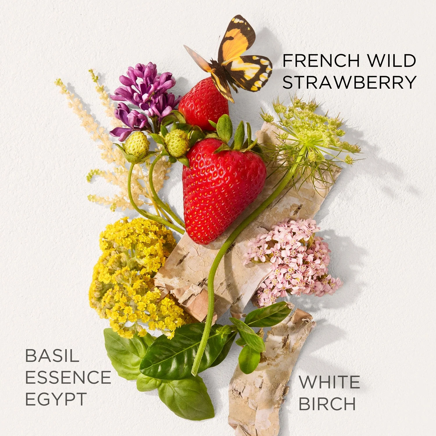 Elizabeth Arden Green Tea Strawberry Basil