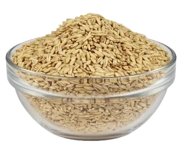 Oat Rice