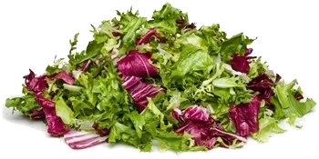 FS Frisée & rosé