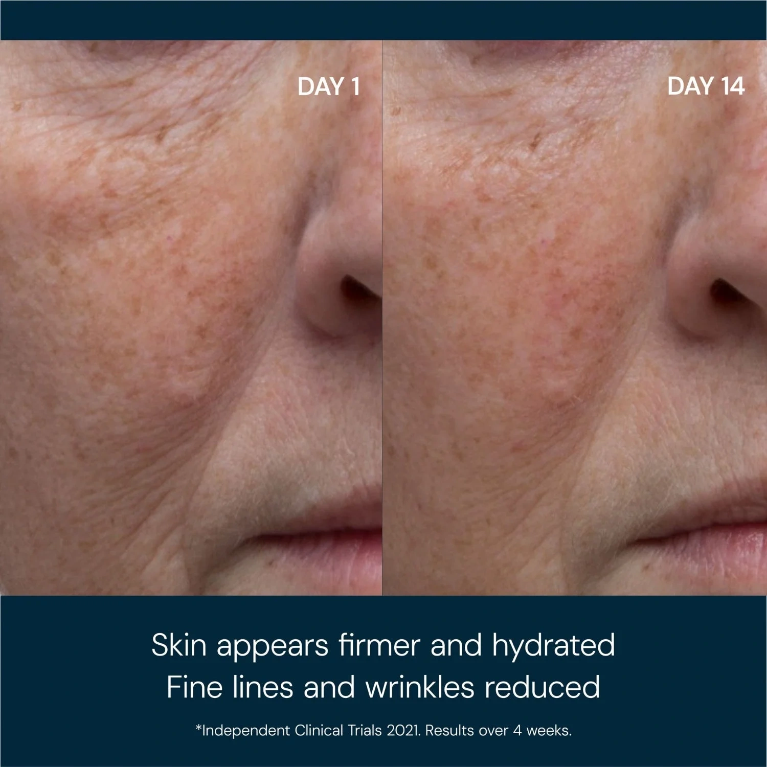 Elemis Pro-Collagen Marine Cream
