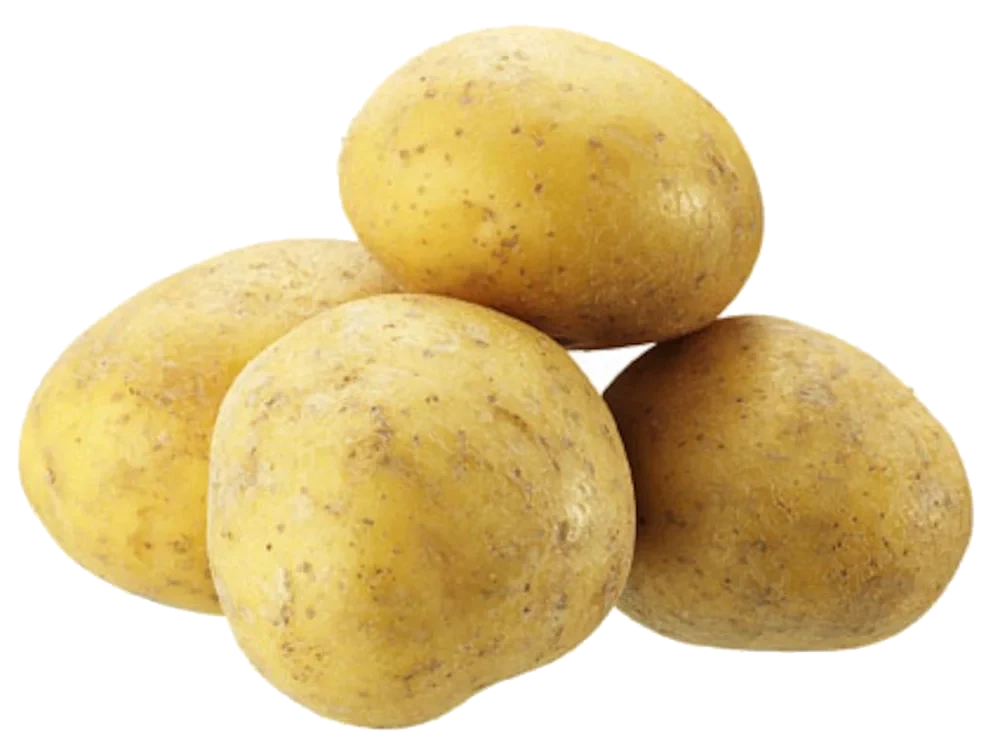 Kulpotatis tvättad