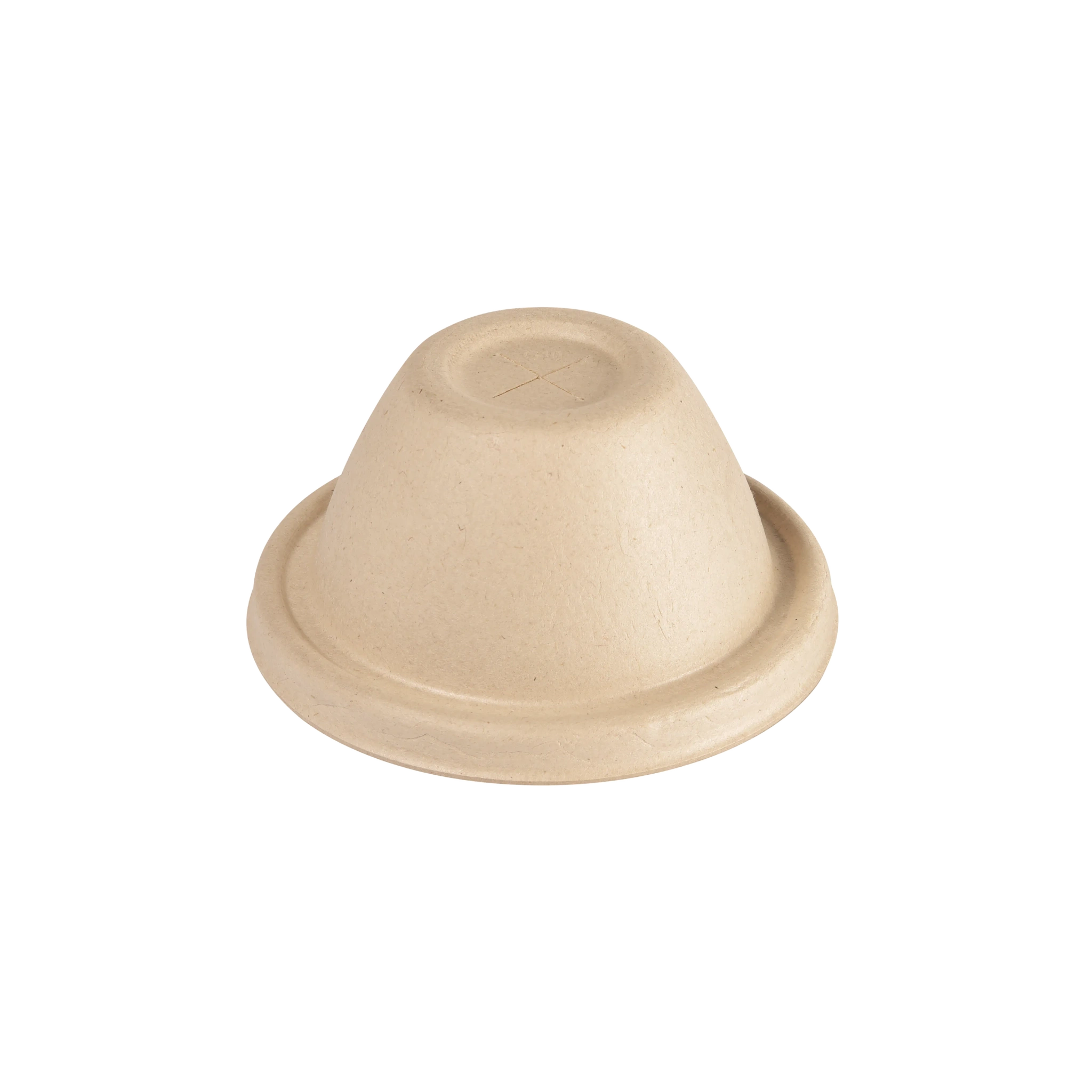 Kupollock Bagasse